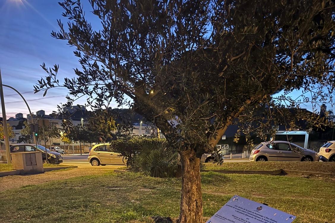 la plaque hommage à Ilan Halimi vandalisée à Cagnes-sur-Mer
