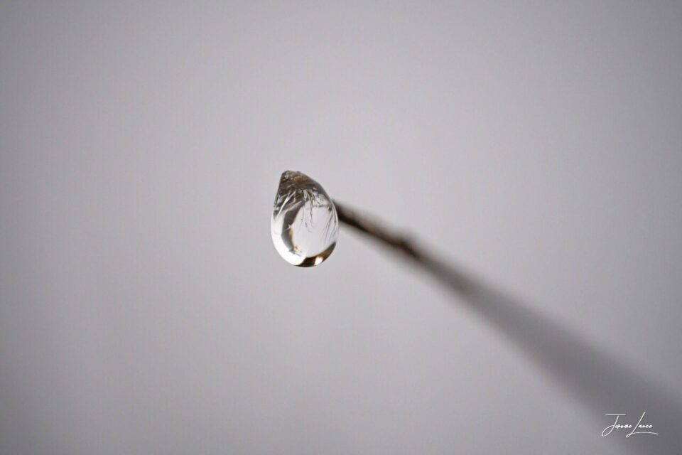 Jérôme Lauze a participé à des festivals avec des photos de gouttes d'eau prises en macro.