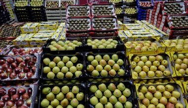 Des ONG alertent sur les cocktails de pesticides dans les pommes en Europe