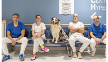 Une expérimentation avec un chien menée au CHU de Lille contre la douleur des patients