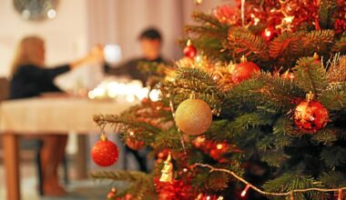 À Rennes et dans la métropole, où jeter et recycler son sapin de Noël ?