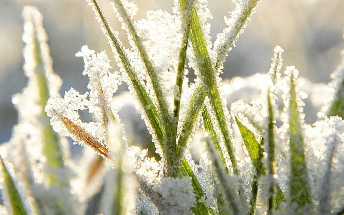 Météo : -6,4 °C enregistré à Rennes ce jeudi 1er janvier, un record depuis 2018