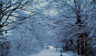 DIRECT - Un jeune homme décède sur les routes durant l'épisode neigeux en Ille-et-Vilaine : la circulation toujours chaotique sur la rocade de Rennes