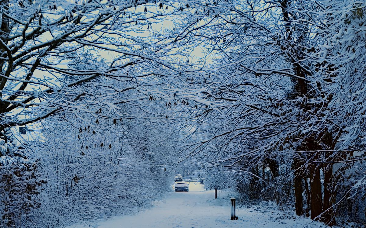 DIRECT - Un jeune homme décède sur les routes durant l'épisode neigeux en Ille-et-Vilaine : la circulation toujours chaotique sur la rocade de Rennes