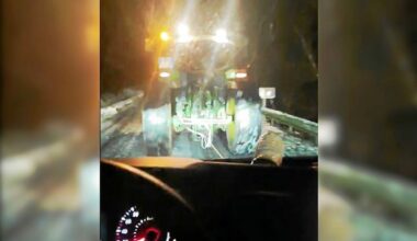 « Dans la forêt, c’était le carnage » : coincé par la neige, cet automobiliste secouru par des agriculteurs en Ille-et-Vilaine