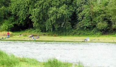 « Un cadeau de fin d’année » : le département d’Ille-et-Vilaine finance l’achat de 100 kg de poissons pour repeupler cet étang