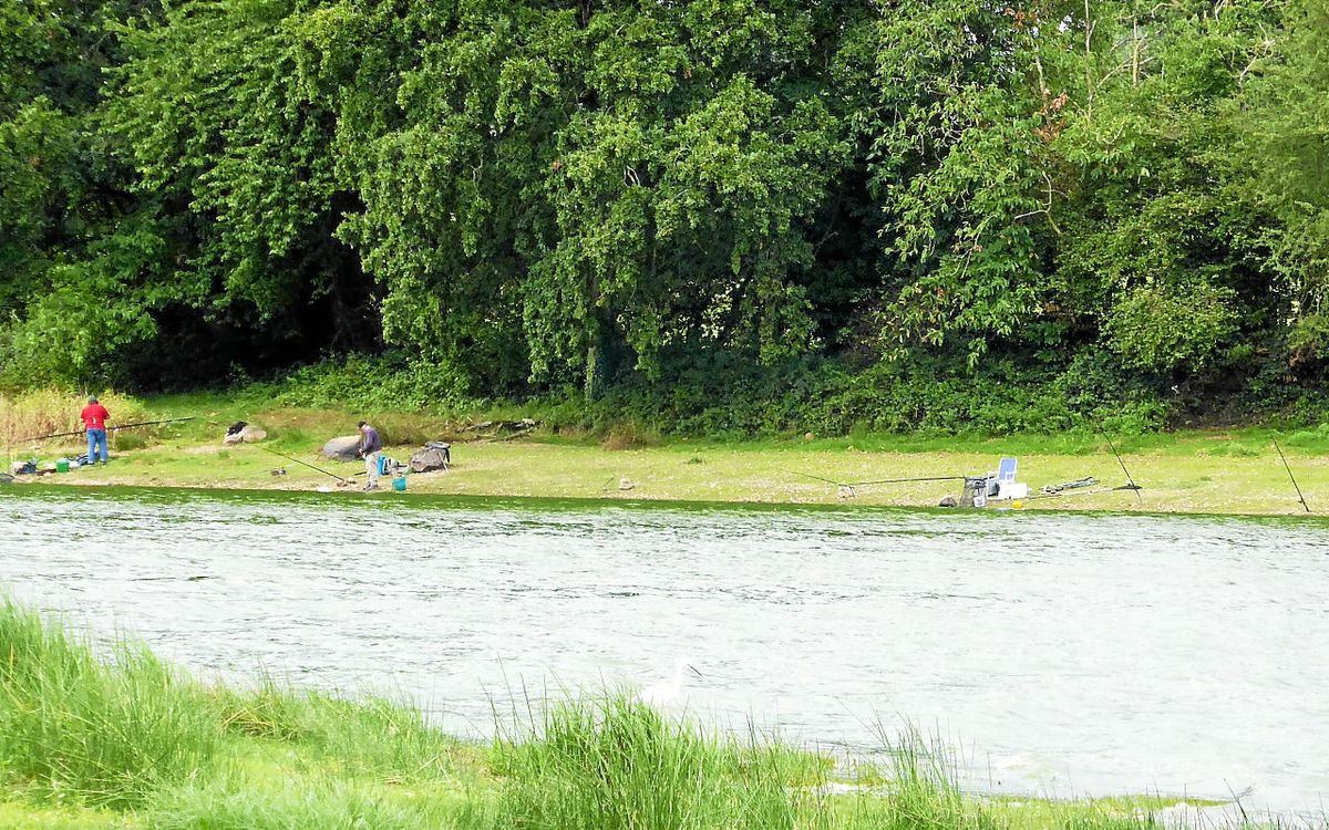 « Un cadeau de fin d’année » : le département d’Ille-et-Vilaine finance l’achat de 100 kg de poissons pour repeupler cet étang