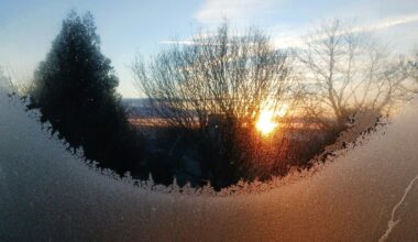 Cliché de Zef : soleil glacé au Relecq-Kerhuon