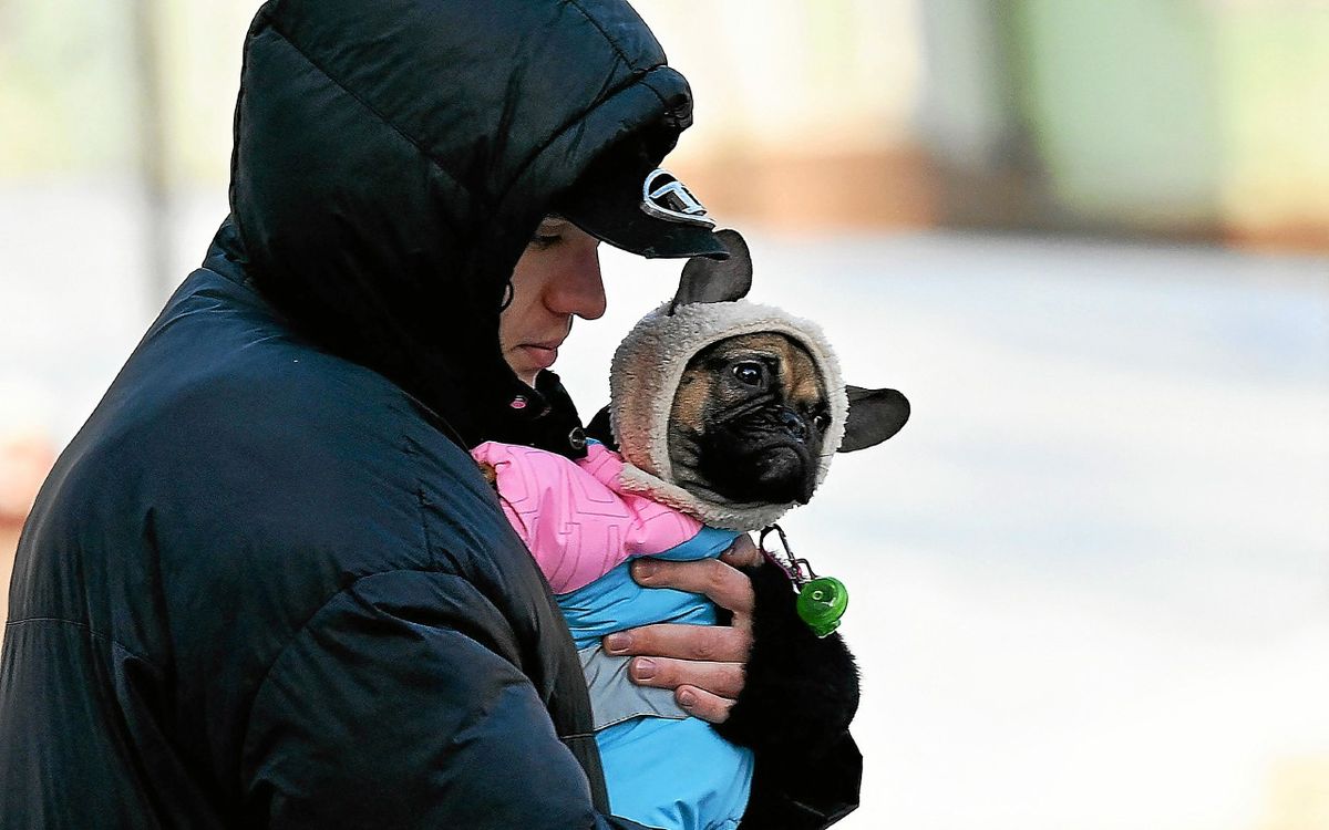 Ukraine : privés de chauffage, des habitants de Kiev tremblent mais n’abdiquent pas