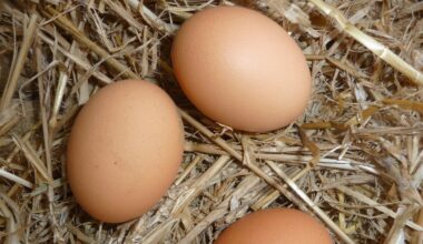 les intempéries et les fêtes en cause dans un marché tendu