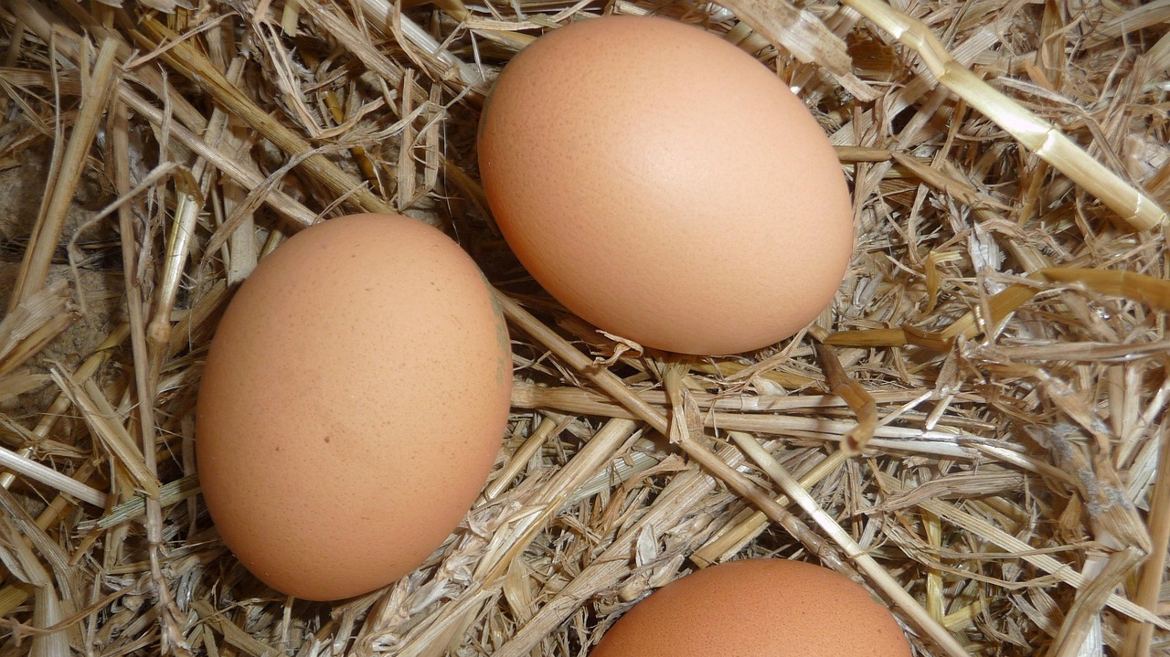 les intempéries et les fêtes en cause dans un marché tendu