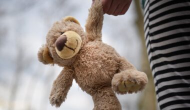 déjà condamné pour une agression sexuelle sur un jeune enfant, un babysitter soupçonné de viol sur mineur