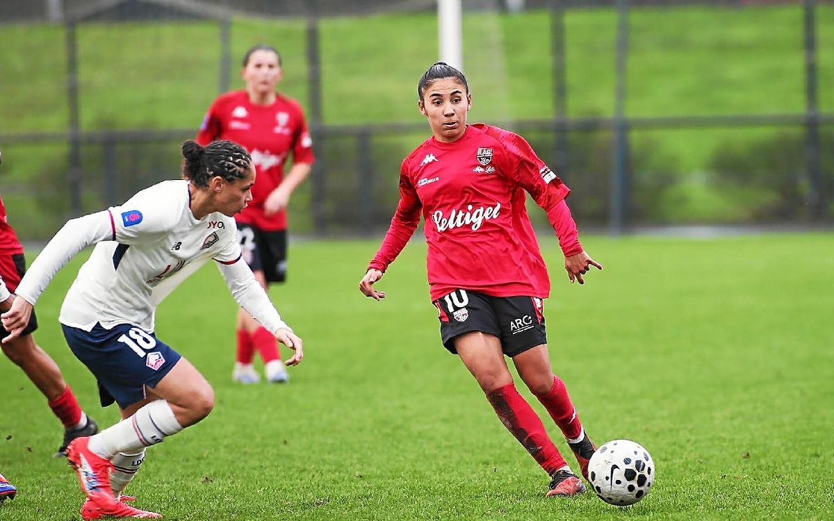 D2F : Guingamp s’incline à Grenoble