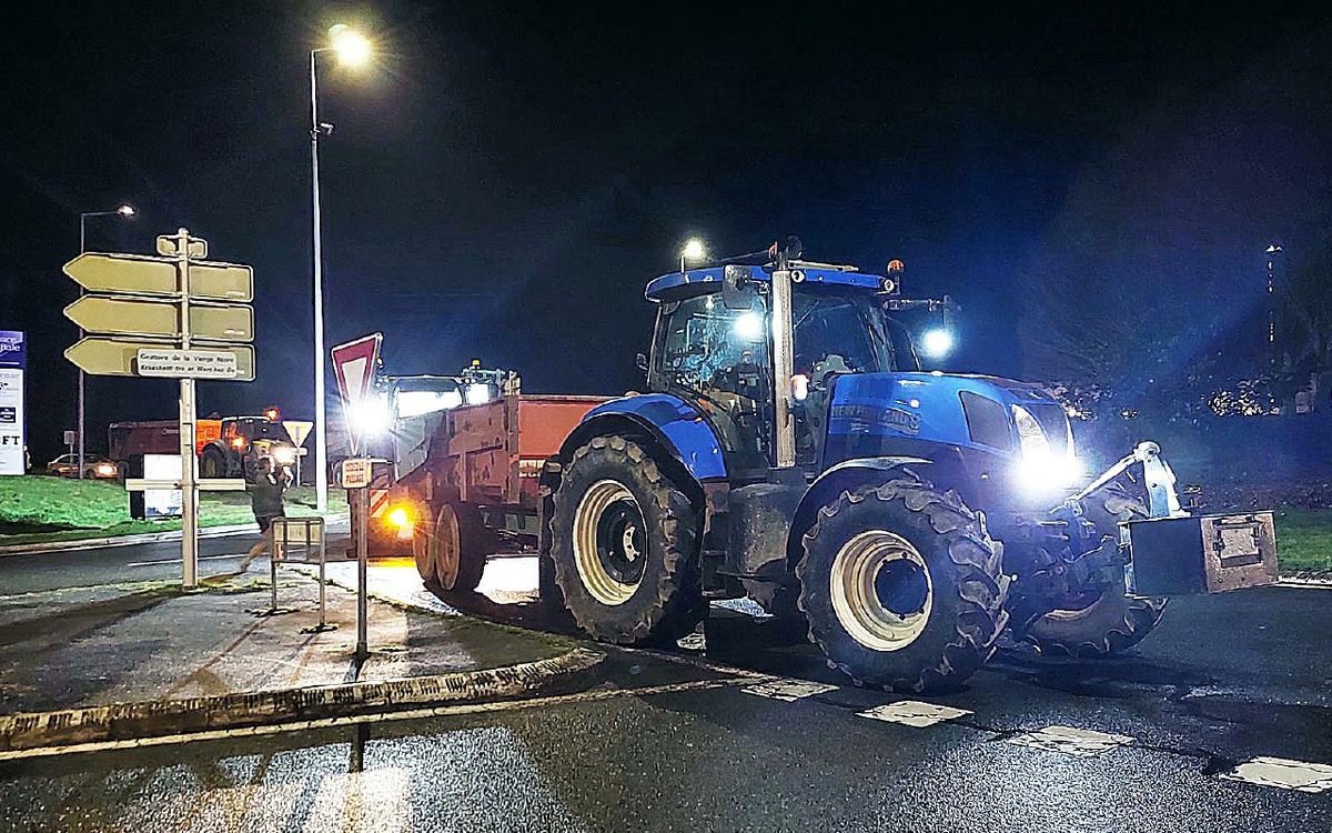Morlaix, Landerneau, Plougastel-Daoulas… Des agriculteurs ont mené des actions contre plusieurs magasins Lidl du Finistère