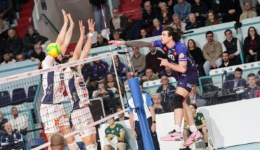 Nik Mujanovic, pointu du TVB, de retour au bercail