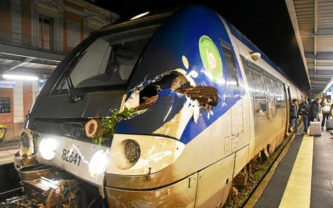 Une partie de l’arbre est encore nichée à l’avant du TER, à son arrivée vers 21 h 30 en gare de Quimper.