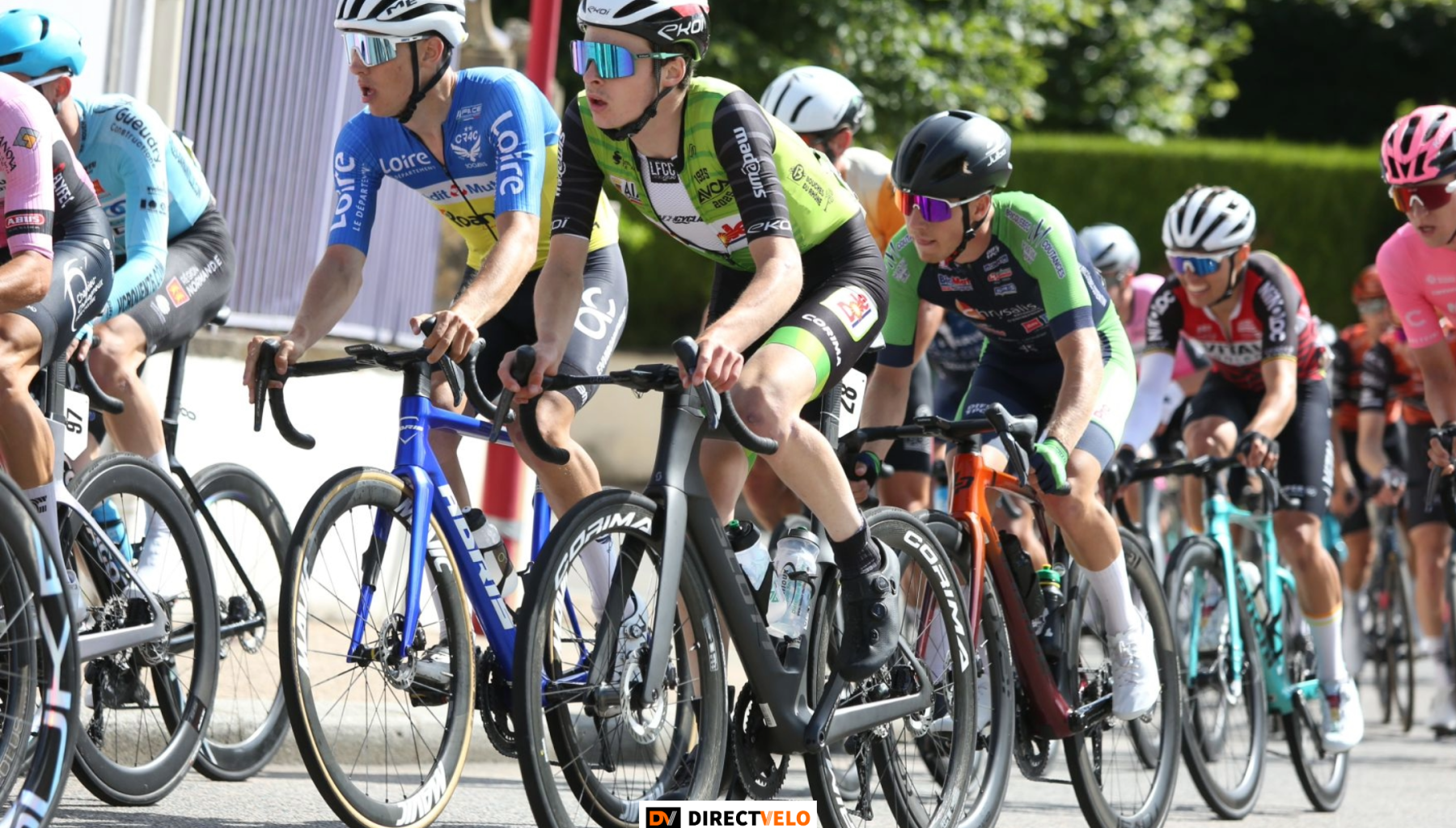 Les Provençaux de l’AVC Aix « à jamais les premiers » - Actualité