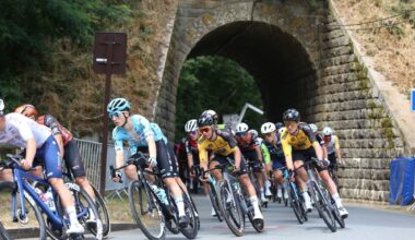 DV Manager 2026 : Découvrez la liste des coureurs ! - Actualité