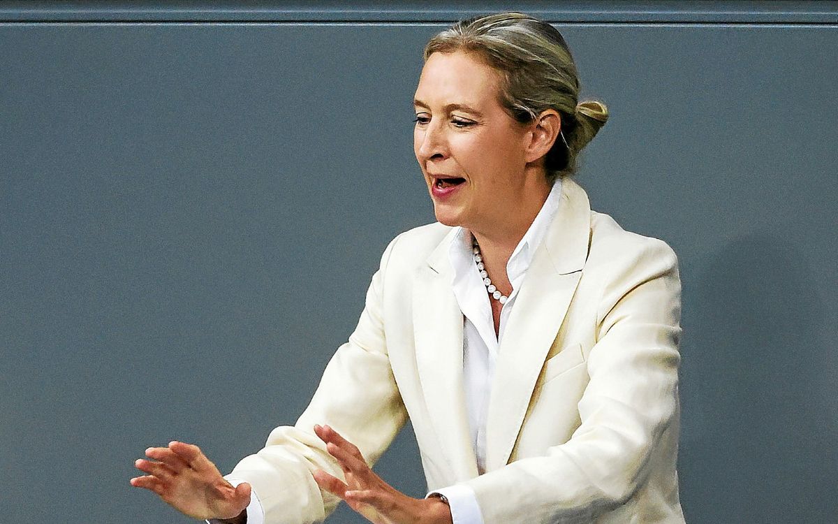 En Allemagne, « Trump est le talon d’Achille de l’AfD »