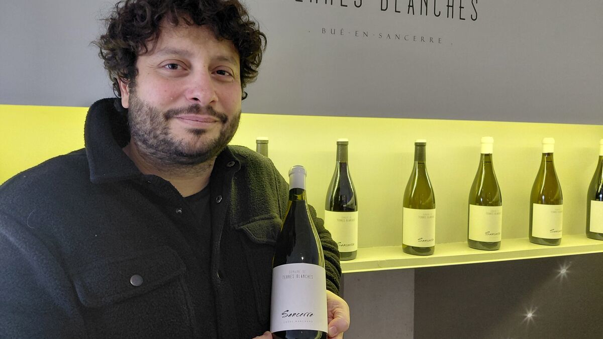 « J’invite Taylor Swift sur mon domaine ! » : ce producteur de Sancerre salue la star pour son coup de pub aux États-Unis