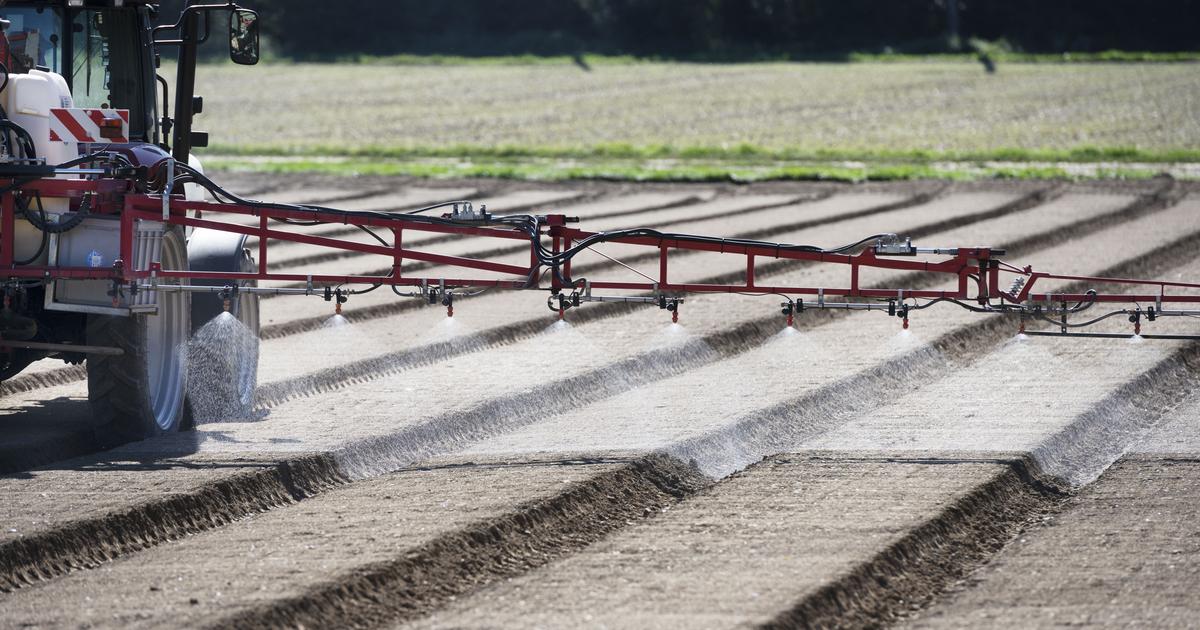 Pesticides et santé des agriculteurs: état des lieux en Suisse