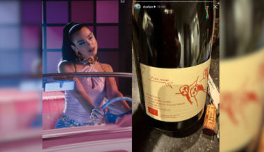 Quand la star internationale Dua Lipa fait la pub d'un vin d'Auvergne-Rhône-Alpes