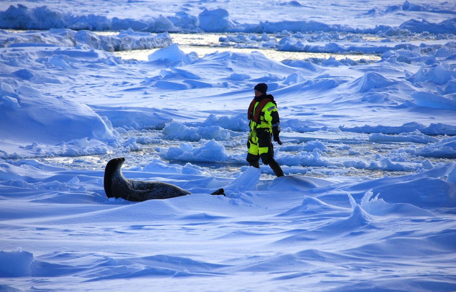 “Animus femina”, d’Éliane de Latour : notre critique