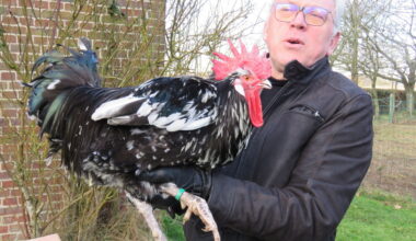 rencontre avec Bruno, près de Rouen