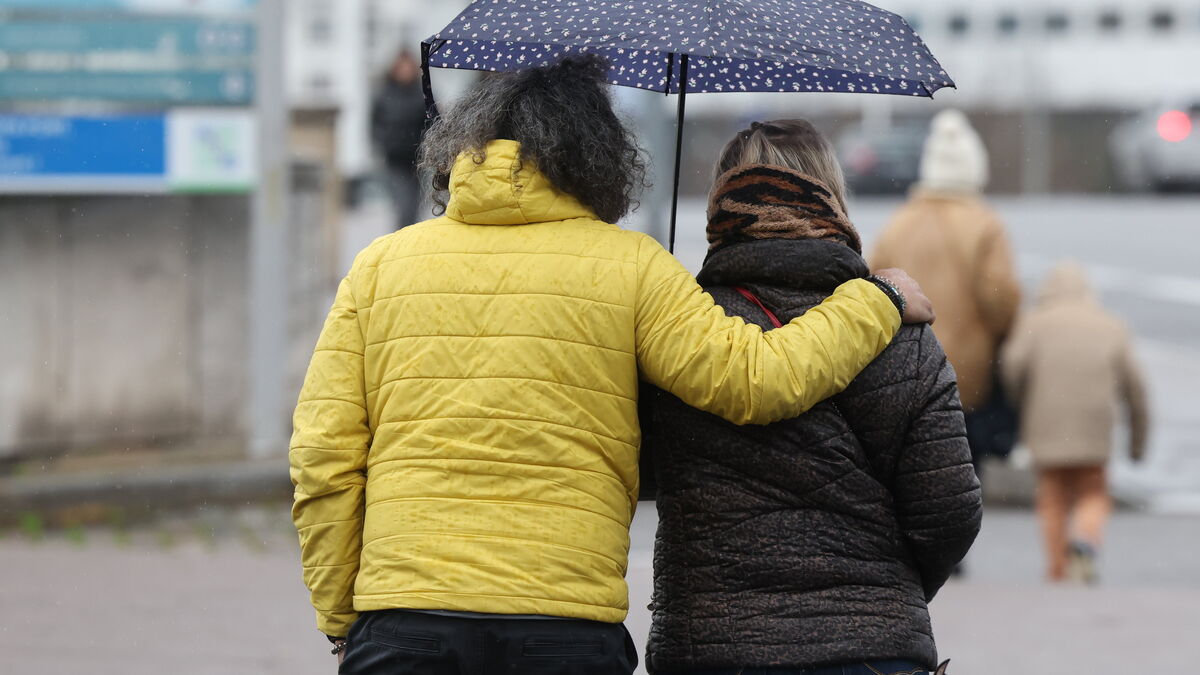 Pluie chaque jour au Nord et à partir de jeudi dans le Sud, hausse des températures : la météo de la semaine en France