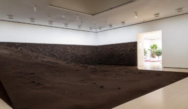 Au Guggenheim Bilbao, une expérience immersive totale pour alerter sur l’avenir de la planète