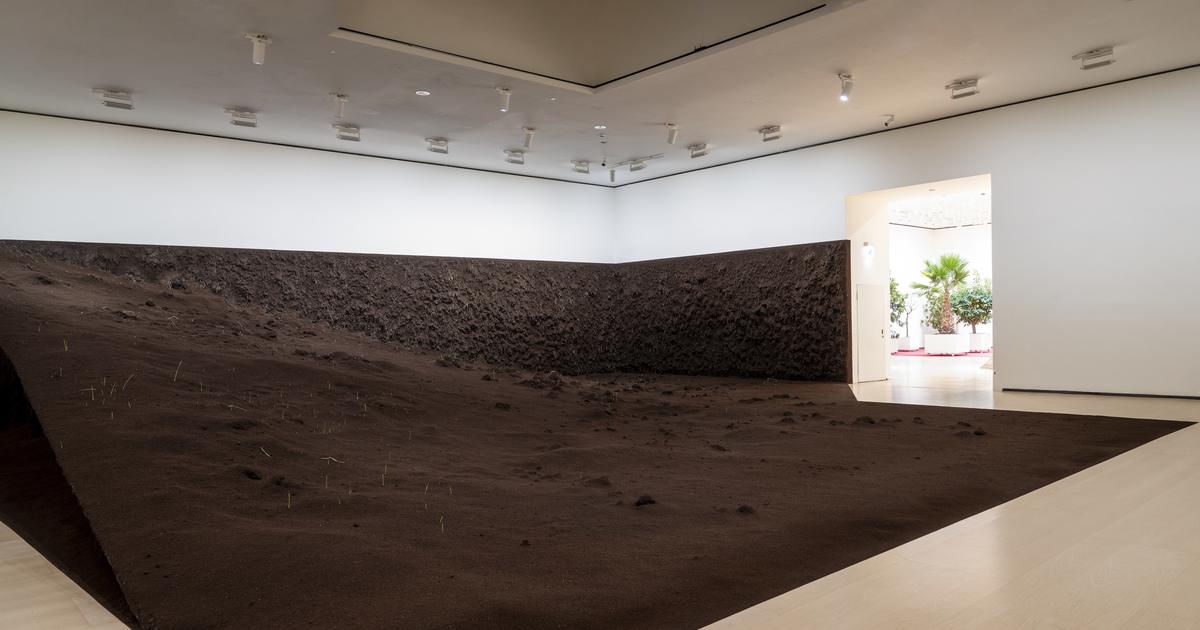 Au Guggenheim Bilbao, une expérience immersive totale pour alerter sur l’avenir de la planète