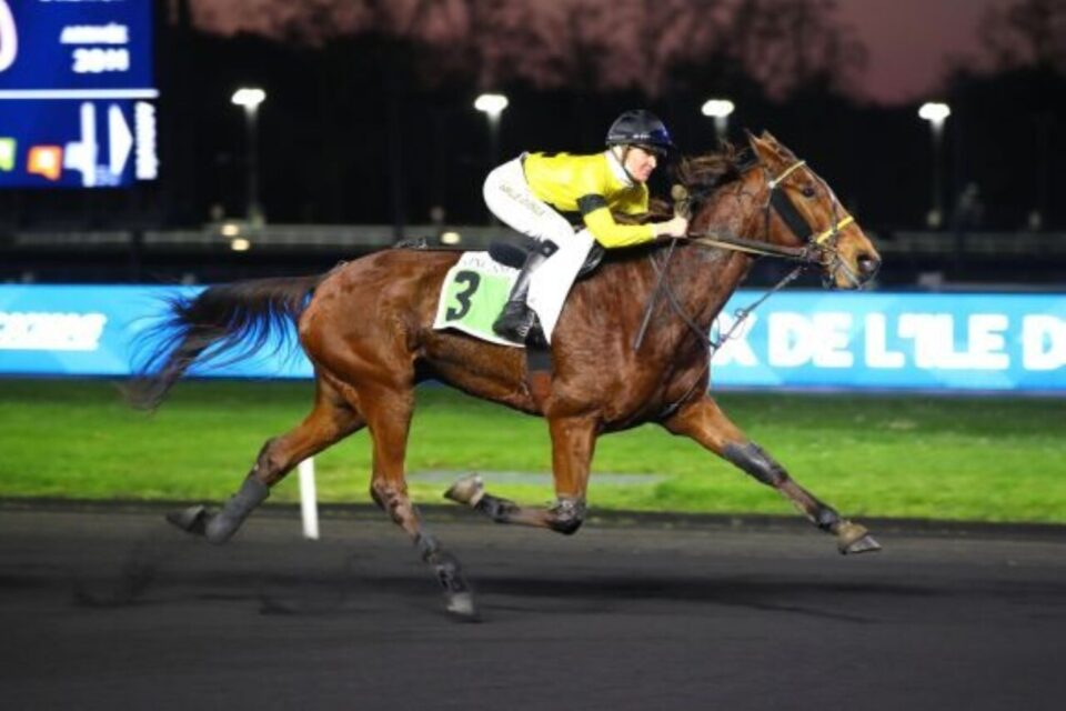La famille Levesque présente Islamorada pour la première fois à ce niveau.