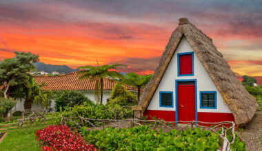 cette île au "printemps éternel" est un paradis fleuri