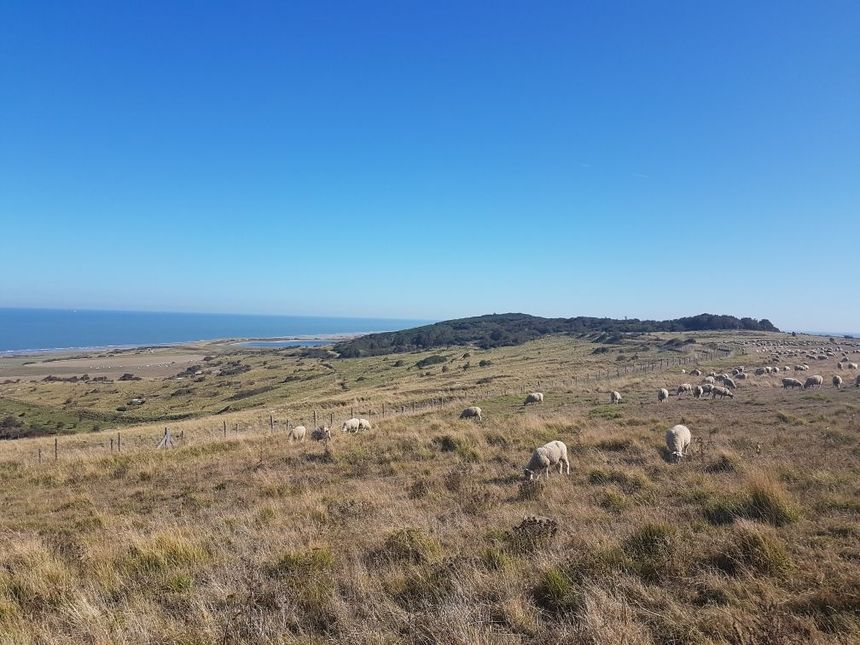 Paysage du Cap Blanc-Ney (Pas-de-Calais)