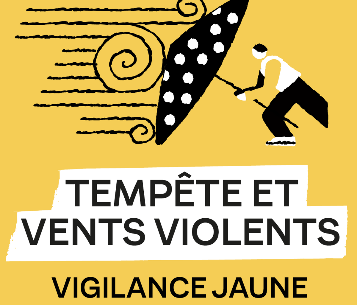 Des vents violents annoncés à Rennes pour jeudi 8 janvier : les parcs fermés | ICI RENNES MÉTROPOLE Actualités