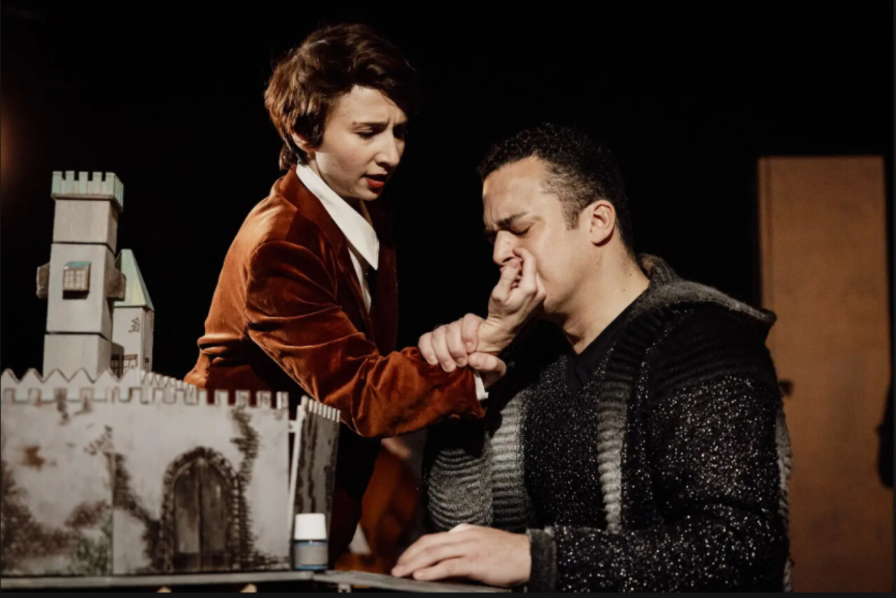 Redécouvrez ce conte cruel de Perrault dans une adaptation musicale immersive, jouée en région après Lille