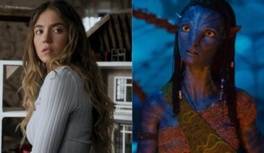 La Femme de ménage domine Avatar dans les salles françaises