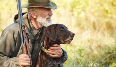 Allemagne, chiffres records, 460 700 chasseurs, le double d’il y a 30 ans !