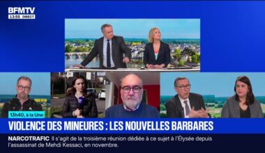 pourquoi on ne peut parler pas "d'excuse de minorité"