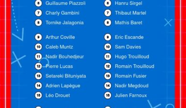 rugby pro d2 - logo vibrez rugby