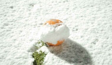 CDF 32e de Finale Avranches - Brest