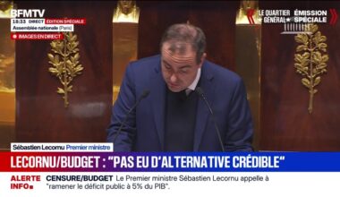 "Il n'y a pas eu pendant ces 350 heures de débat parlementaire d'alternative crédible", estime Sébastien Lecornu