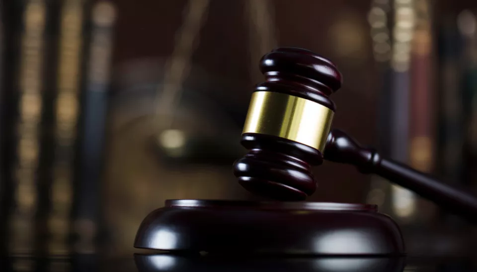 Le public a l'opportunité de découvrir la vie d'une maison de vente aux enchères. © Stock Studio 4477 / Shutterstock