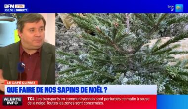sapin de Noël