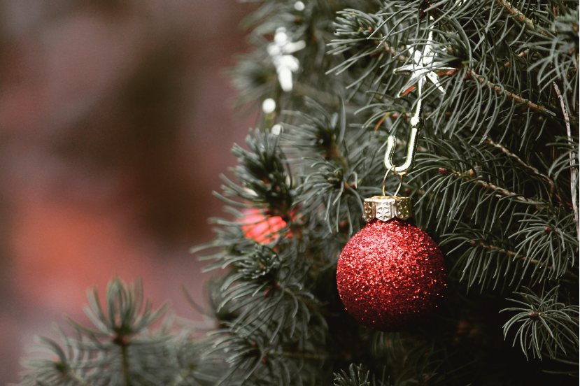 on pourra recycler son sapin en Janvier