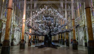 Toulouse et Montpellier | Un bilan culturel positif pour les musées et expositions des deux métropoles de l’Occitanie en 2025