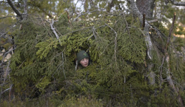 « C’est un film plein de sérénité, qui fait du bien » : pourquoi le « Chant des forêts » attire les foules