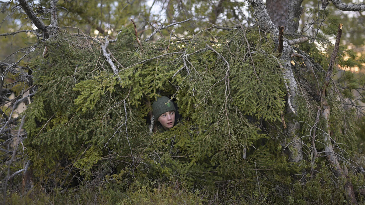 « C’est un film plein de sérénité, qui fait du bien » : pourquoi le « Chant des forêts » attire les foules