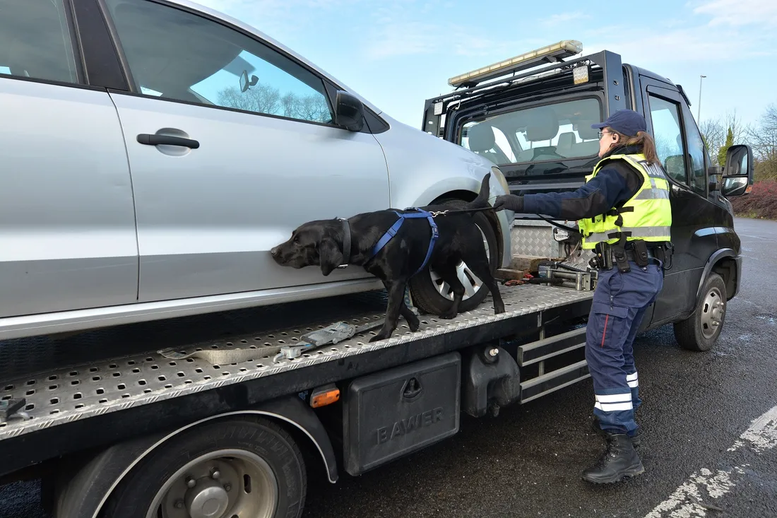 Contrôle Douane St Gilles chien 1