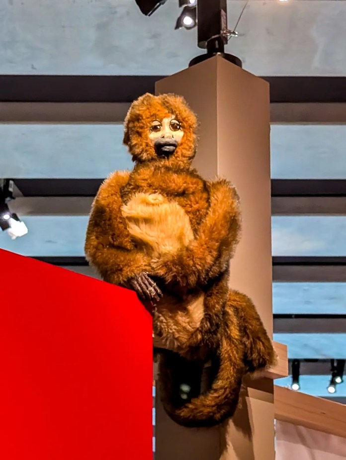 « Don Quichotte – Histoire de fou, histoire d’en rire » au Mucem, Marseille